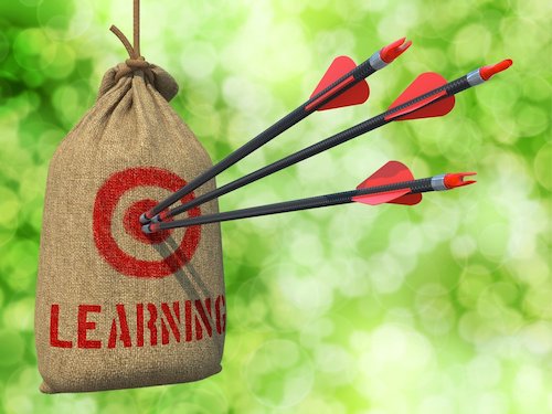 Learning - Three Arrows Hit in Red Target on a Hanging Sack on Natural Bokeh Background.