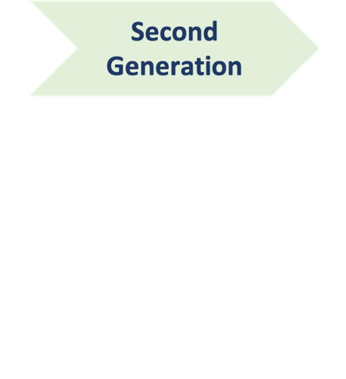 Second Generation-1-1