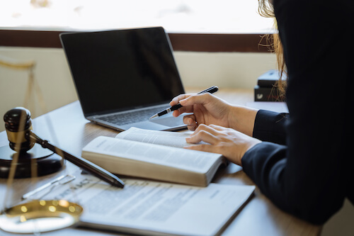 lawyer with computer-2